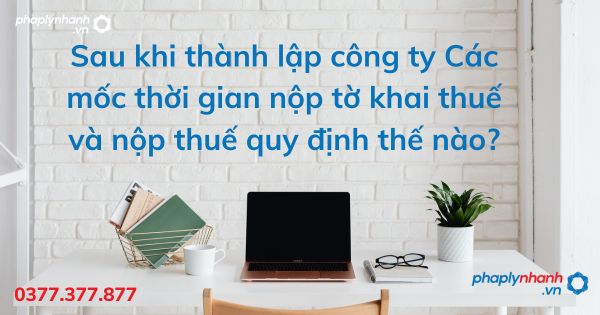 Sau khi thành lập công ty Các mốc thời gian nộp tờ khai thuế và nộp thuế quy định thế nào? 1 Sau khi thành lập công ty Các mốc thời gian nộp tờ khai thuế và nộp thuế quy định thế nào - tư vấn hỗ trợ pháp lý nhanh