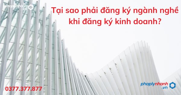 Tại sao phải đăng ký ngành nghề khi đăng ký kinh doanh - tư vấn hỗ trợ pháp lý nhanh
