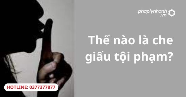 Thế nào là che giấu tội phạm? 1 Thế nào là che giấu tội phạm?