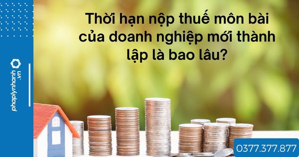 Thời hạn nộp thuế môn bài của doanh nghiệp mới thành lập là bao lâu? 1 Thời hạn nộp thuế môn bài của doanh nghiệp mới thành lập là bao lâu - tư vấn hỗ trợ pháp lý nhanh
