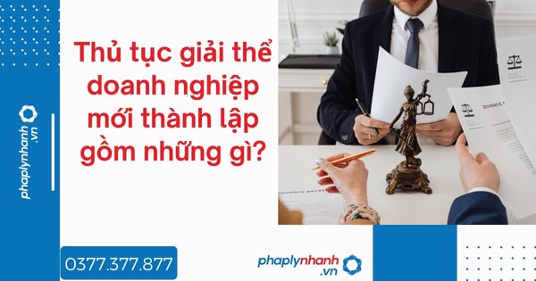 Thủ tục giải thể doanh nghiệp mới thành lập gồm những gì - tư vấn hỗ trợ pháp lý nhanh