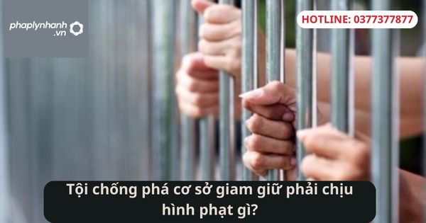 Tội chống phá cơ sở giam giữ phải chịu hình phạt gì? 1 Tội chống phá cơ sở giam giữ phải chịu hình phạt gì?