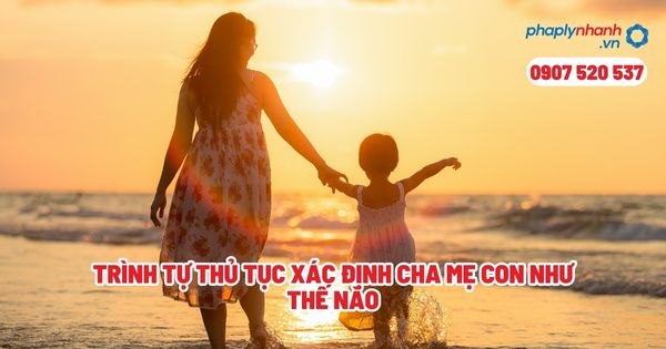 Trình tự thủ tục xác định cha mẹ con như thế nào? 1 Trình tự thủ tục xác định cha mẹ con như thế nào - Tư vấn, hỗ trợ pháp lý nhanh