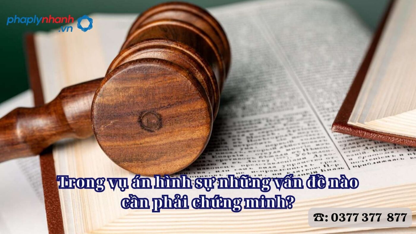 Trong vụ án hình sự những vấn đề nào cần phải chứng minh? 16 Trong vụ án hình sự những vấn đề nào cần phải chứng minh - Tư vấn, hỗ trợ pháp lý nhanh