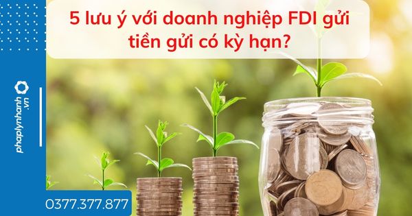5 lưu ý với doanh nghiệp FDI gửi tiền gửi có kỳ hạn? 1 5 lưu ý với doanh nghiệp FDI gửi tiền gửi có kỳ hạn - tư vấn hỗ trợ pháp lý nhanh