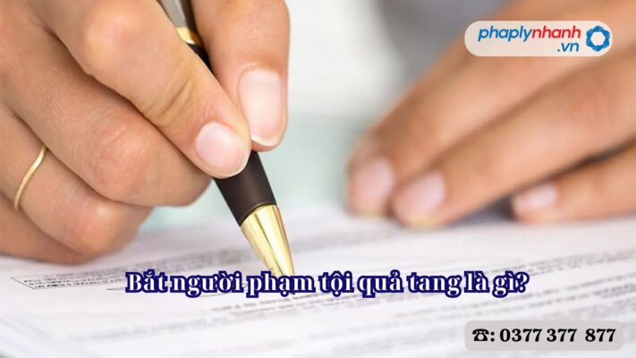 Bắt người phạm tội quả tang là gì - Tư vấn, hỗ trợ pháp lý nhanh