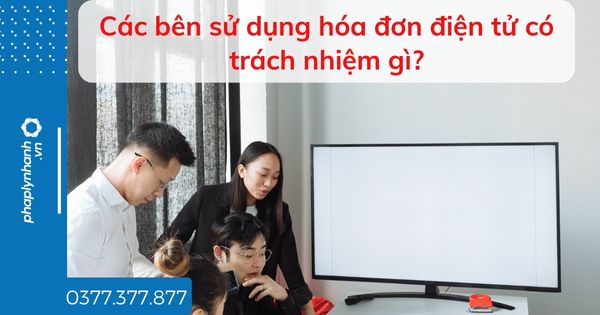 Các bên sử dụng hóa đơn điện tử có trách nhiệm gì? 1 Các bên sử dụng hóa đơn điện tử có trách nhiệm gì - tư vấn hỗ trợ pháp lý nhanh