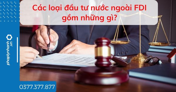 Các loại đầu tư nước ngoài FDI gồm những gì - tư vấn hỗ trợ pháp lý nhanh