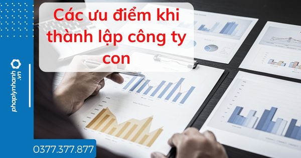 Các ưu điểm khi thành lập công ty con 1 Các ưu điểm khi thành lập công ty con - tư vấn hỗ trợ pháp lý nhanh