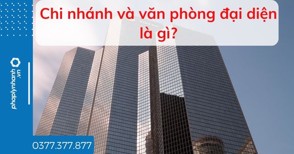 Chi nhánh và văn phòng đại diện là gì? 1 Chi nhánh và văn phòng đại diện là gì - tư vấn hỗ trợ pháp lý nhanh