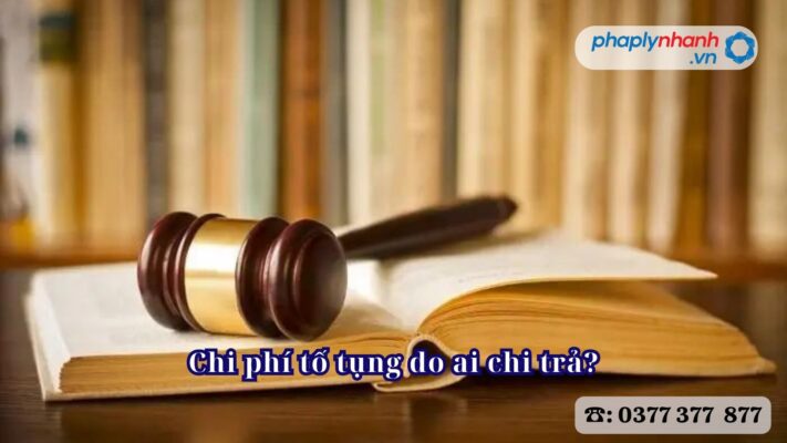 Chi phí tố tụng do ai chi trả? 2 Chi phí tố tụng do ai chi trả - Tư vấn, hỗ trợ pháp lý nhanh