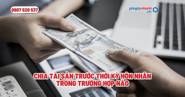 Chia tài sản trước thời kỳ hôn nhân trong trường hợp nào? 1 Chia tài sản trước thời kỳ hôn nhân trong trường hợp nào - Tư vấn, hỗ trợ pháp lý nhanh