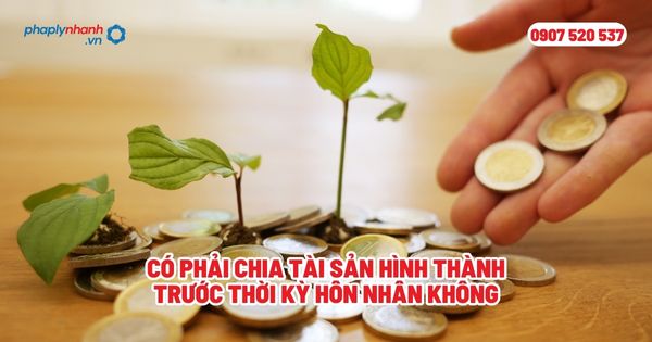 Có phải chia tài sản hình thành trước thời kỳ hôn nhân không? 1 Có phải chia tài sản hình thành trước thời kỳ hôn nhân không - Tư vấn, hỗ trợ pháp lý nhanh