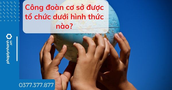 Công đoàn cơ sở được tổ chức dưới hình thức nào? 1 Công đoàn cơ sở được tổ chức dưới hình thức nào - tư vấn hỗ trợ pháp lý nhanh