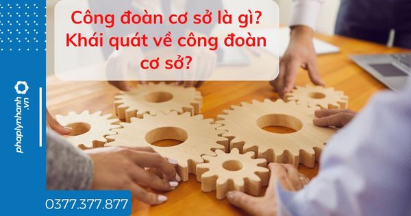 Công đoàn cơ sở là gì - tư vấn hỗ trợ pháp lý nhanh