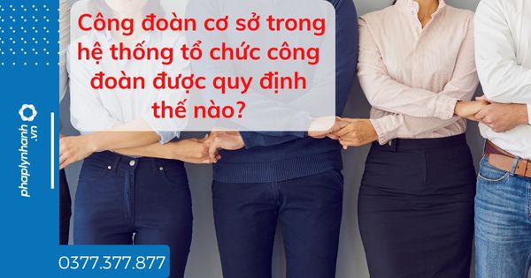 Công đoàn cơ sở trong hệ thống tổ chức công đoàn được quy định thế nào? 1 Công đoàn cơ sở trong hệ thống tổ chức công đoàn được quy định thế nào - tư vấn hõ trợ pháp lý nhanh