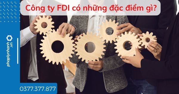 Công ty FDI có những đặc điểm gì? 1 Công ty FDI có những đặc điểm gì - tư vấn hỗ trợ pháp lý nhanh