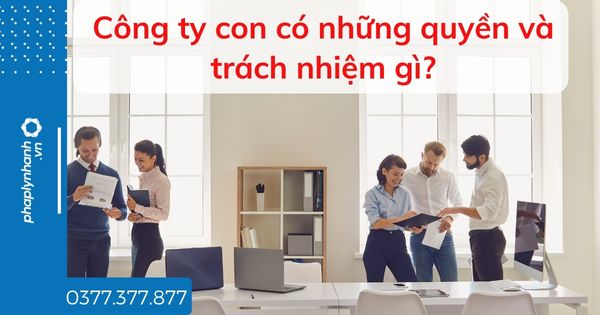 Công ty con có những quyền và trách nhiệm gì - tư vấn hỗ trợ pháp lý nhanh