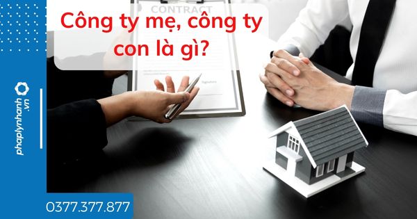 Công ty mẹ, công ty con là gì - tư vấn hỗ trợ pháp lý nhanh