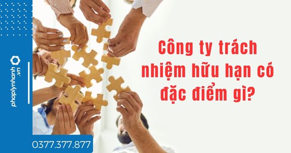 Công ty trách nhiệm hữu hạn có đặc điểm gì? 1 Công ty trách nhiệm hữu hạn có đặc điểm gì - tư vấn hỗ trợ pháp lý nhanh