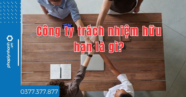 Công ty trách nhiệm hữu hạn là gì? 1 Công ty trách nhiệm hữu hạn là gì - tư vấn hỗ trợ pháp lý nhanh