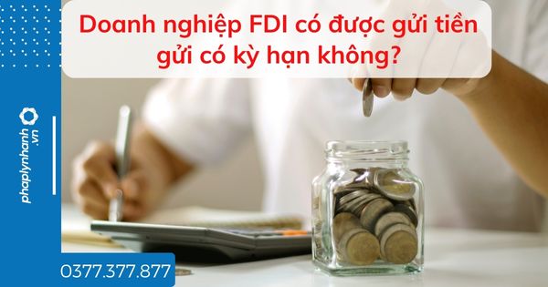 Doanh nghiệp FDI có được gửi tiền gửi có kỳ hạn không? 1 Doanh nghiệp FDI có được gửi tiền gửi có kỳ hạn không - tư vấn hỗ trợ pháp lý nhanh