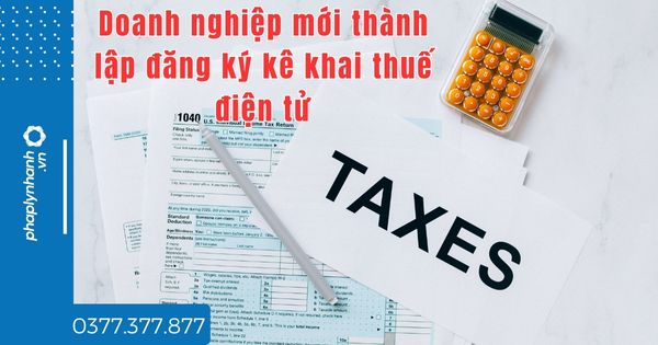 Doanh nghiệp mới thành lập đăng ký kê khai thuế điện tử thế nào? 1 Doanh nghiệp mới thành lập đăng ký kê khai thuế điện tử - tư vấn hỗ trợ pháp lý nhanh