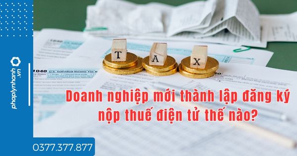 Doanh nghiệp mới thành lập đăng ký nộp thuế điện tử thế nào? 1 Doanh nghiệp mới thành lập đăng ký nộp thuế điện tử thế nào - tư vấn hỗ trợ pháp lý nhanh