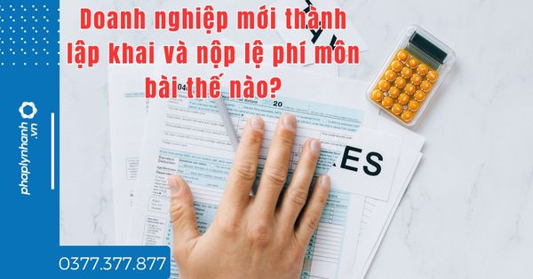 Doanh nghiệp mới thành lập khai và nộp lệ phí môn bài thế nào? 1 Doanh nghiệp mới thành lập khai và nộp lệ phí môn bài thế nào -tư vấn hỗ trợ pháp lý nhanh
