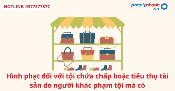 Hình phạt đối với tội chứa chấp hoặc tiêu thụ tài sản do người khác phạm tội mà có 1 Hình phạt đối với tội chứa chấp hoặc tiêu thụ tài sản do người khác phạm tội mà có