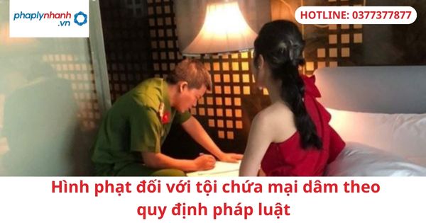 Hình phạt đối với tội chứa mại dâm theo quy định pháp luật 1 Hình phạt đối với tội chứa mại dâm theo quy định pháp luật