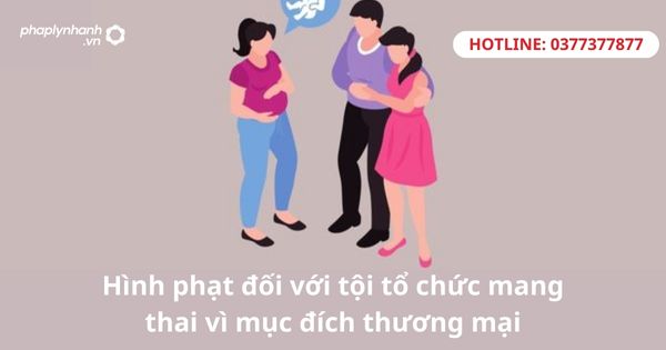 Hình phạt đối với tội tổ chức mang thai hộ vì mục đích thương mại 1 Hình phạt đối với tội tổ chức mang thai hộ vì mục đích thương mại