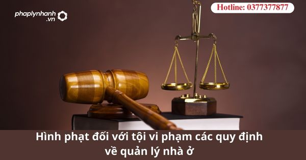 Hình phạt đối với tội vi phạm các quy định về quản lý nhà ở 1 Hình phạt đối với tội vi phạm các quy định về quản lý nhà ở