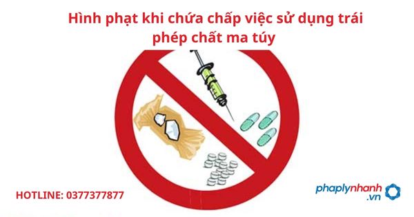 Hình phạt khi chứa chấp việc sử dụng trái phép chất ma túy 1 Hình phạt khi chứa chấp việc sử dụng trái phép chất ma túy
