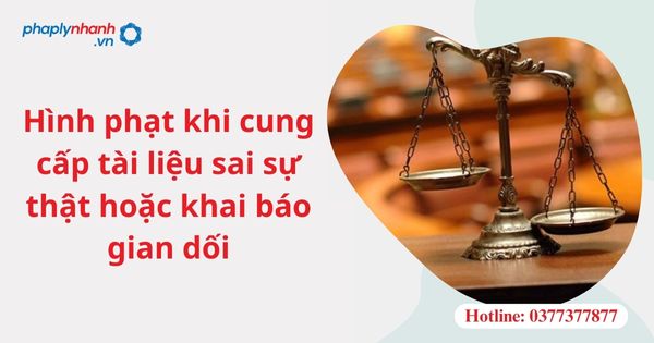 Hình phạt khi cung cấp tài liệu sai sự thật hoặc khai báo gian dối 1 Hình phạt khi cung cấp tài liệu sai sự thật hoặc khai báo gian dối