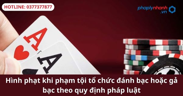 Hình phạt khi phạm tội tổ chức đánh bạc hoặc gả bạc theo quy định pháp luật-hỗ trợ tư vấn pháp lý