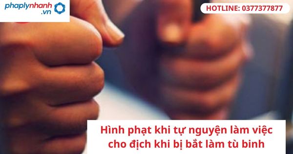 Hình phạt khi tự nguyện làm việc cho địch khi bị bắt làm tù binh 1 Hình phạt khi tự nguyện làm việc cho địch khi bị bắt làm tù binh