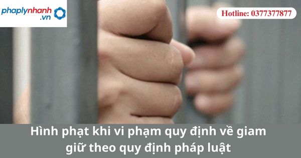 Hình phạt khi vi phạm quy định về giam giữ theo quy định pháp luật 1 Hình phạt khi vi phạm quy định về giam giữ theo quy định pháp luật