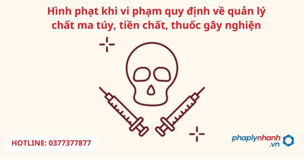 Hình phạt khi vi phạm quy định về quản lý chất ma túy, tiền chất, thuốc gây nghiện 1 Hình phạt khi vi phạm quy định về quản lý chất ma túy, tiền chất, thuốc gây nghiện-hỗ trợ tư vấn pháp lý