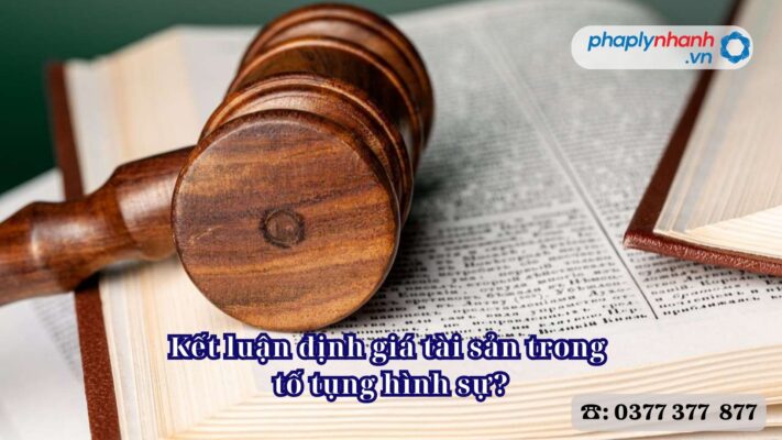 Kết luận định giá tài sản trong tố tụng hình sự? 1 Kết luận định giá tài sản trong tố tụng hình sự - Tư vấn, hỗ trợ pháp lý nhanh