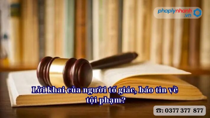 Lời khai của người tố giác, báo tin về tội phạm? 1 Lời khai của người tố giác, báo tin về tội phạm - Tư vấn, hỗ trợ pháp lý nhanh