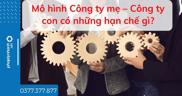 Mô hình Công ty mẹ – Công ty con có những hạn chế gì? 1 Mô hình Công ty mẹ – Công ty con có những hạn chế gì - tư vấn hỗ trợ pháp lý nhanh