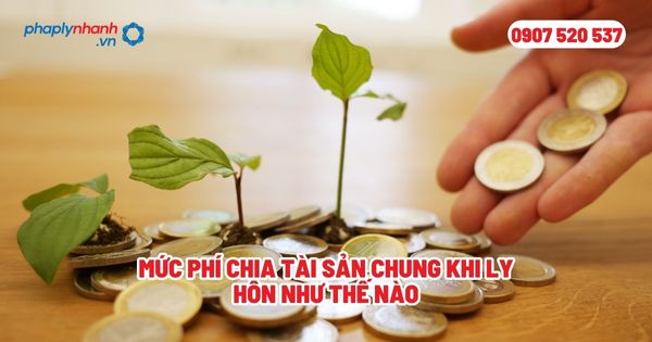 Mức phí chia tài sản chung khi ly hôn như thế nào? 1 Mức phí chia tài sản chung khi ly hôn như thế nào - Tư vấn, hỗ trợ pháp lý nhanh