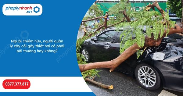 Người chiếm hữu, người quản lý cây cối gây thiệt hại có phải bồi thường hay không? 1 Người chiếm hữu, người quản lý cây cối gây thiệt hại có phải bồi thường hay không-Hỗ trợ, tư vấn pháp lý nhanh