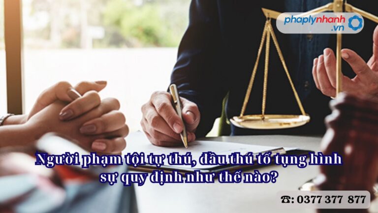 Người phạm tội tự thú, đầu thú tố tụng hình sự quy định như thế nào - Tư vấn, hỗ trợ pháp lý nhanh