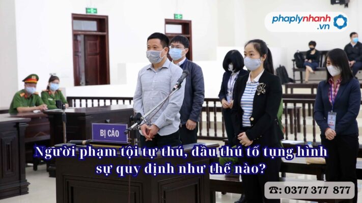 Tự thú, đầu thú có được miễn trách nhiệm hình sự không? 1 Người phạm tội tự thú, đầu thú tố tụng hình sự quy định như thế nào - Tư vấn, hỗ trợ pháp lý