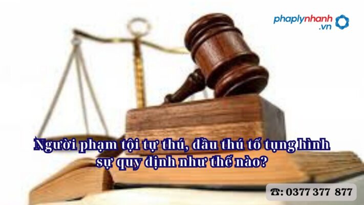 Người phạm tội tự thú, đầu thú tố tụng hình sự quy định như thế nào? 1 Người phạm tội tự thú, đầu thú tố tụng hình sự quy định như thế nào - Tư vấn, hỗ trợ pháp lý nhanh