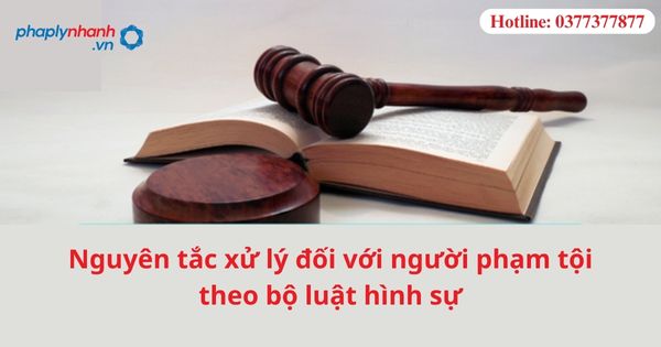 Nguyên tắc xử lý đối với người phạm tội theo bộ luật hình sự