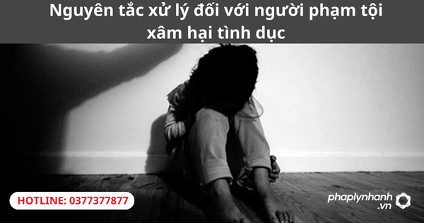 Nguyên tắc xử lý đối với người phạm tội xâm hại tình dục 1 Nguyên tắc xử lý đối với người phạm tội xâm hại tình dục