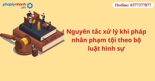 Nguyên tắc xử lý khi pháp nhân phạm tội theo bộ luật hình sự 1 Nguyên tắc xử lý khi pháp nhân phạm tội theo bộ luật hình sự